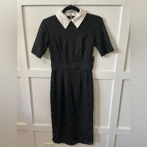 New York & Co Black Dress with White Collar